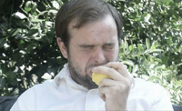 Lemons